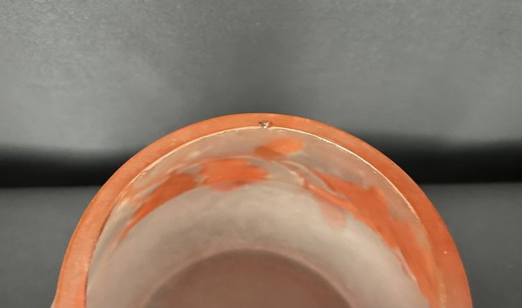 Vase aus säuregeätztem Glas - Jugendstil