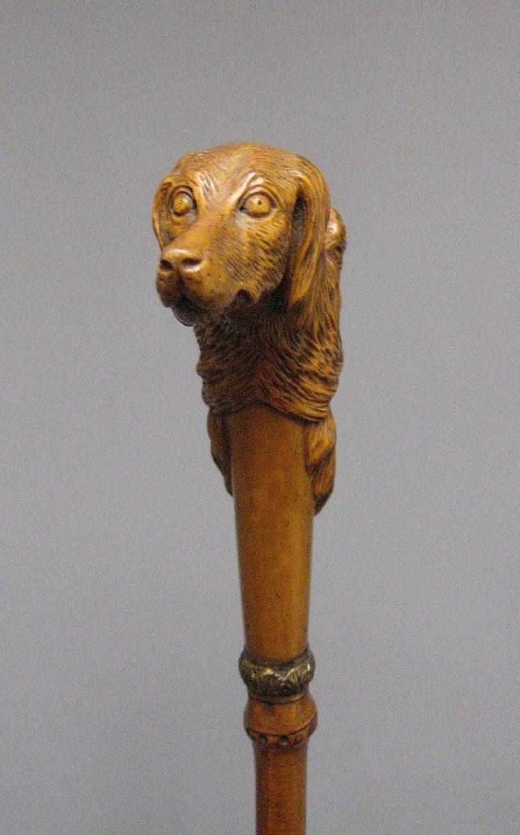 Canne d'Art Populaire Pommeau En Buis Sculpté d'Une Tête De Grotesque Et d'Une Tête De Chien. 