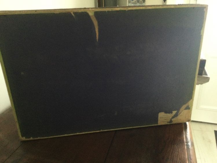 Entomology box