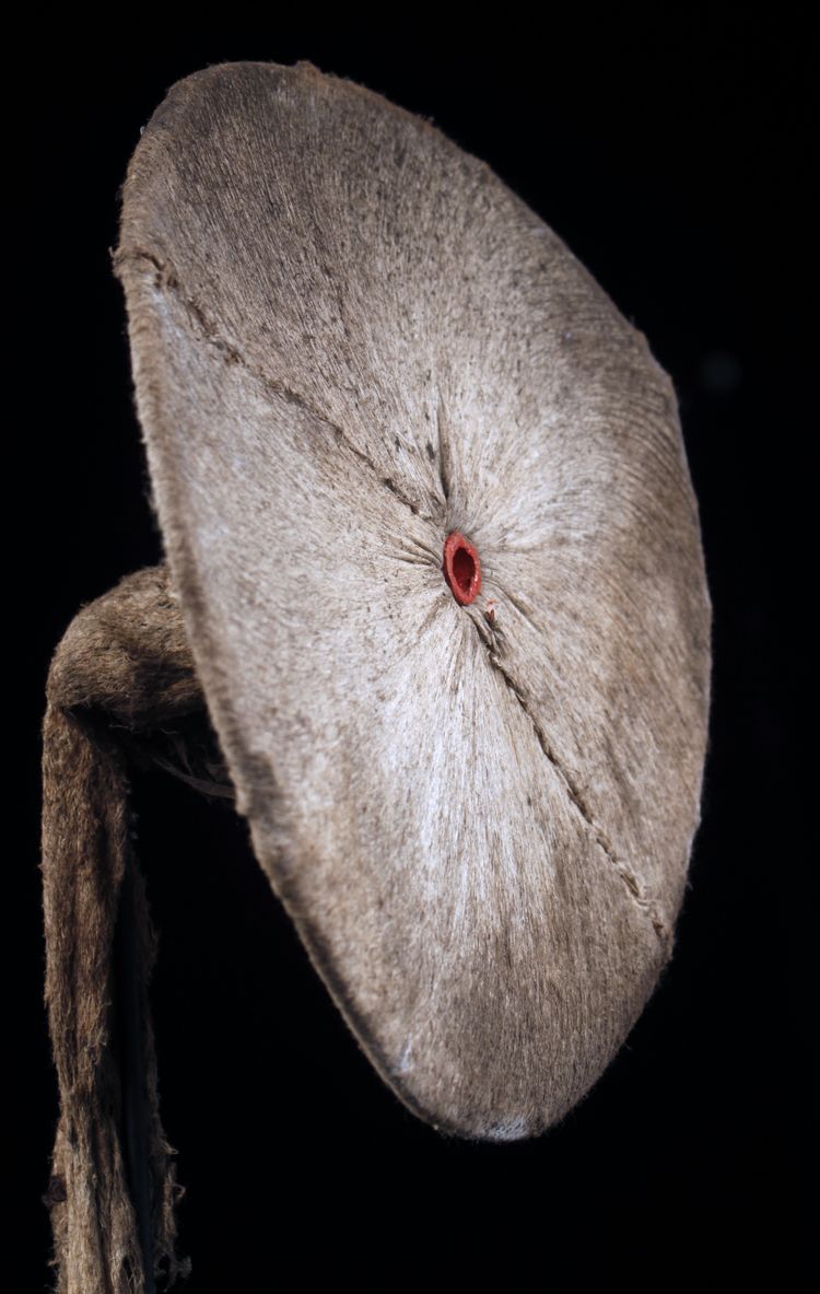 Baining-Kostüm, Stammeskunst, Ozeanische Kunst, Ozeanien, Frühe Neuzeit, Papua-Neuguinea, 133 cm
