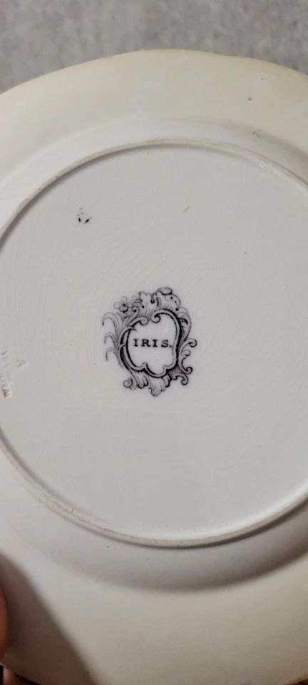 Set of 6 plates plus 1 in early 20th century English porcelain