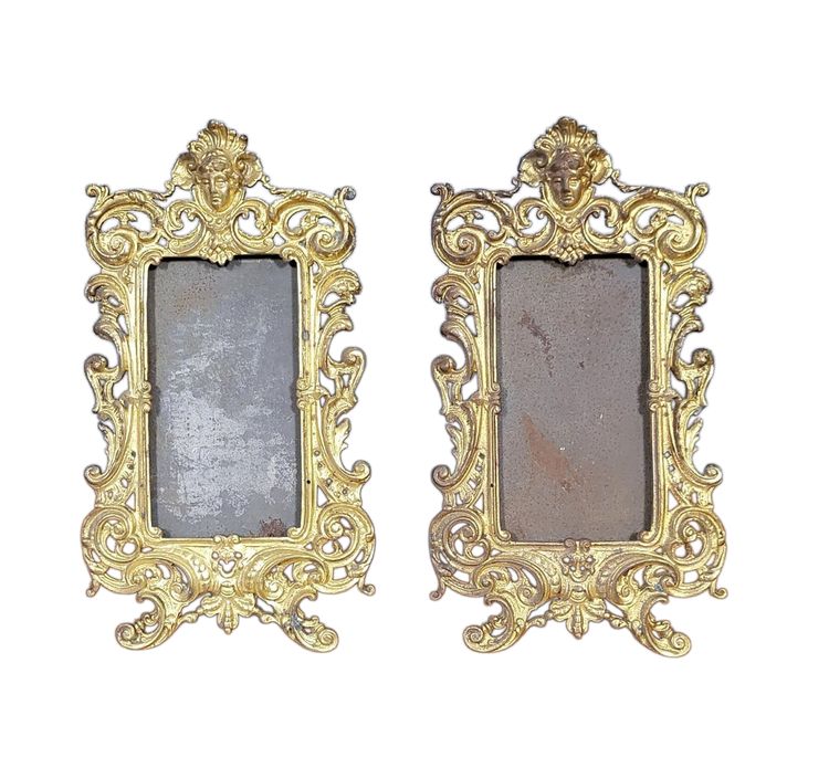 Pair Of Louis XV Style Gilt Bronze Photo Frames