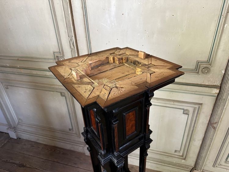 Sellette En Bois Noirci Et Placage De Loupe, Superbe Assemblage De Moulures Circa 1880