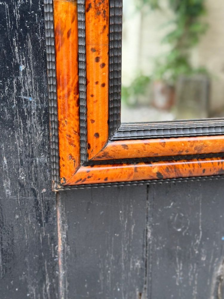Specchio in tartaruga e legno riccio nero nello stile di Antwerp Frames