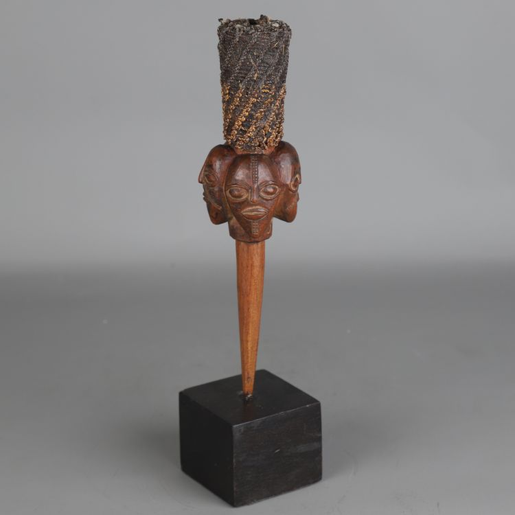 Baoulé-Fliegenklatsche – Elfenbeinküste