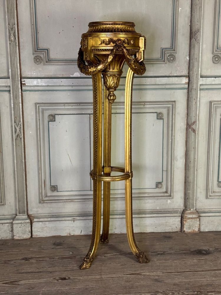 Louis XVI Style Jardiniere in Carved and Gilded Wood Circa 1900