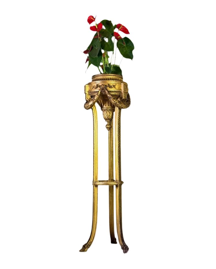 Louis XVI Style Jardiniere in Carved and Gilded Wood Circa 1900