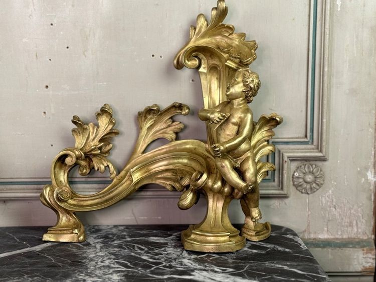Coppia di chenêts in bronzo dorato e cesellato su modello di Jacques Caffieri, Parigi XIX secolo