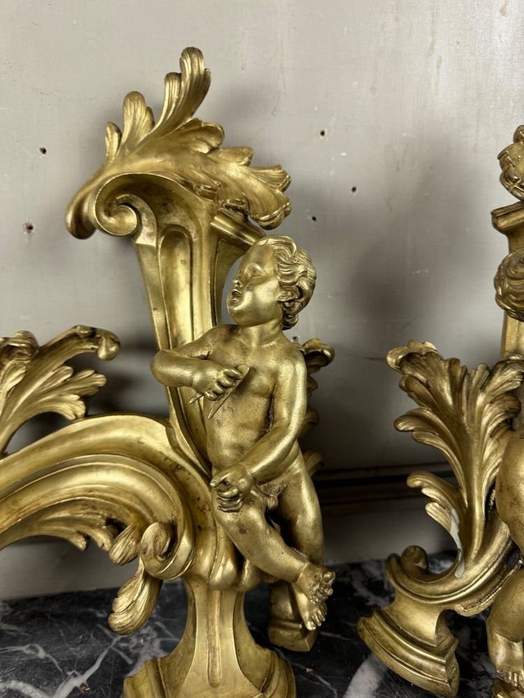 Coppia di chenêts in bronzo dorato e cesellato su modello di Jacques Caffieri, Parigi XIX secolo