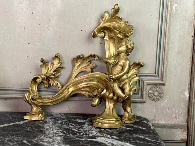 Coppia di chenêts in bronzo dorato e cesellato su modello di Jacques Caffieri, Parigi XIX secolo