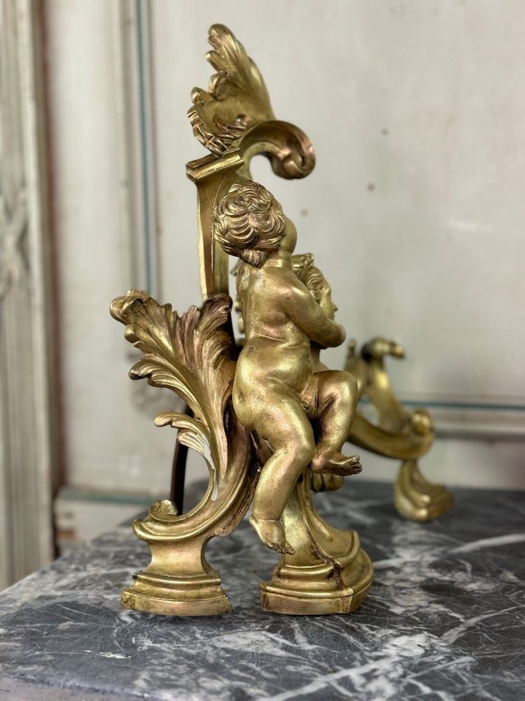 Coppia di chenêts in bronzo dorato e cesellato su modello di Jacques Caffieri, Parigi XIX secolo