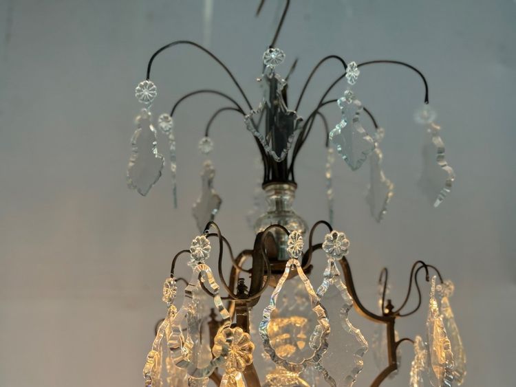 Black Patina Bronze Cage Chandelier Decorated with Cut Crystal Pendants Circa 1900