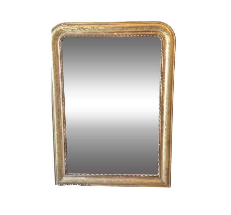 Miroir Louis Philippe  88*118CM