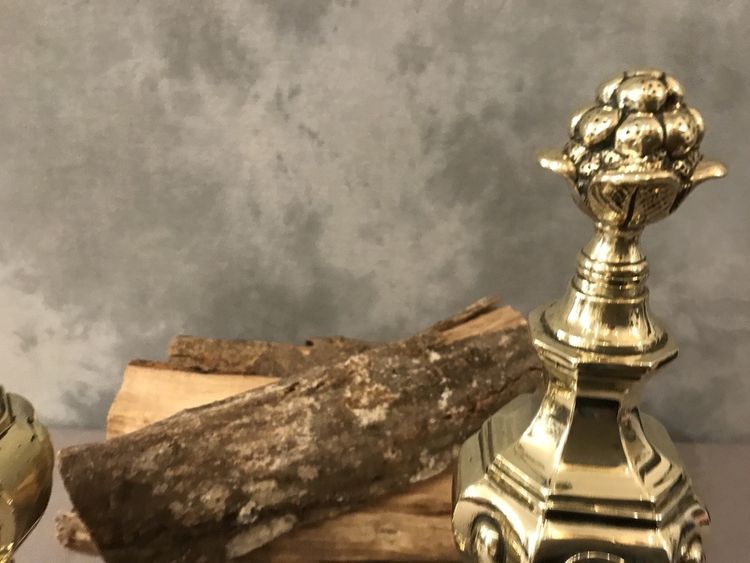 Beaux chenets anciens en bronze d'époque 19 ème 