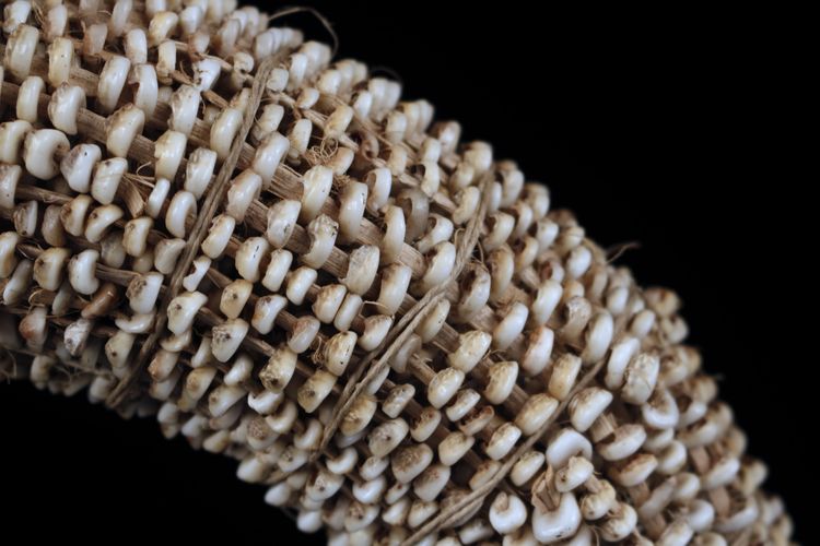 Tolaï-Währung, bekannt als Tabu, Stammeskunst, ozeanische Kunst, erste Künste, Papua-Neuguinea