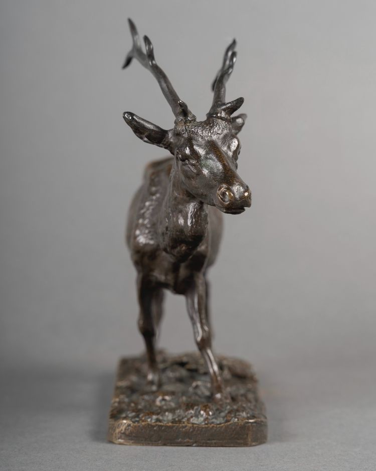 Scultura - Il cervo che cammina, Pierre-Jules Mêne (1810-1879) - Bronzo
