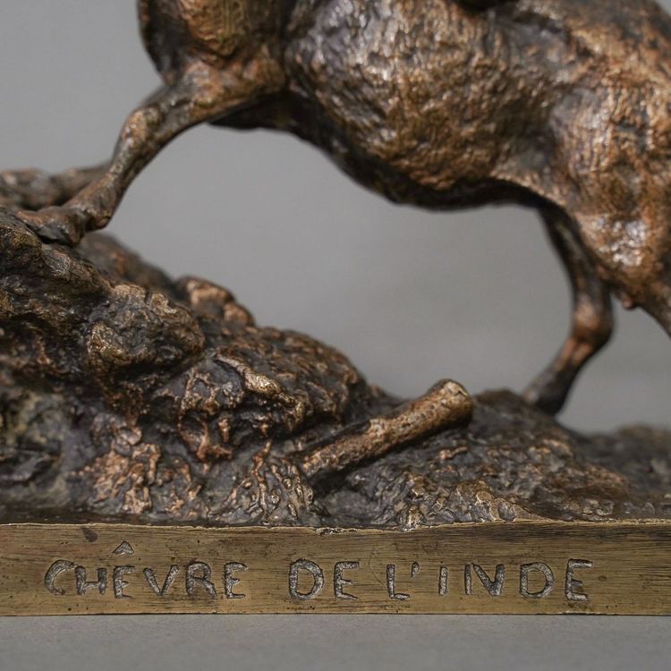 Scultura - "Capra delle Indie", Pierre - Jules Mêne (1810-1879) - Bronzo