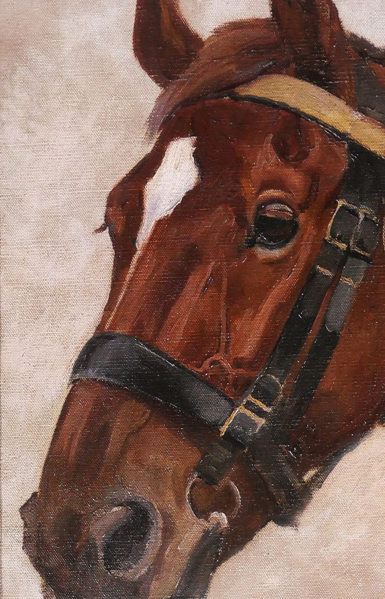 Jules ROUFFET 1862-1931 Ritratto di un cavallo, dipinto, circa 1900 animali da equitazione