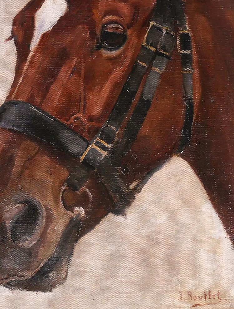 Jules ROUFFET 1862-1931 Ritratto di un cavallo, dipinto, circa 1900 animali da equitazione