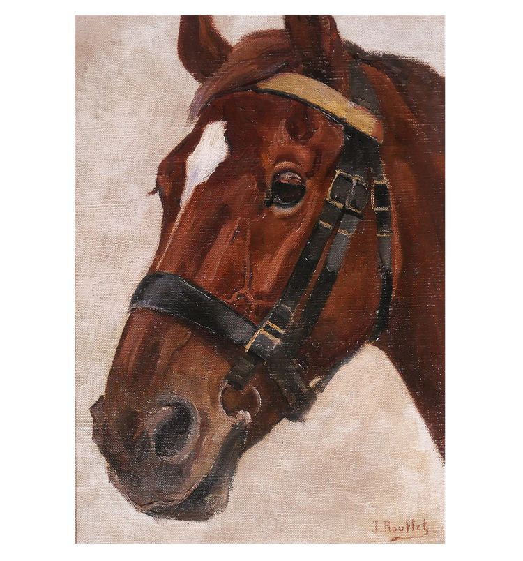 Jules ROUFFET 1862-1931 Ritratto di un cavallo, dipinto, circa 1900 animali da equitazione