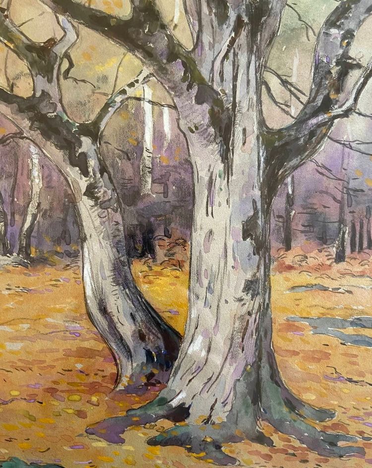 Dessin d'Edouard DOIGNEAU - Forêt de Fontainebleau