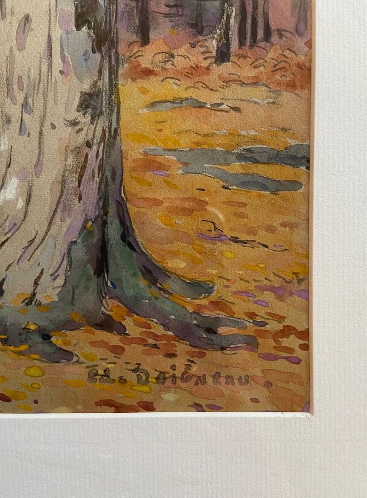 Dessin d'Edouard DOIGNEAU - Forêt de Fontainebleau