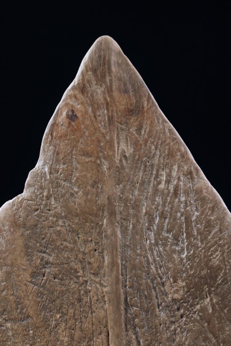Pagaie, Fleuve Sépik, Art Océanien, Art tribal, Océanie, Sculpture, Objet de marine, Océanie, 162 cm