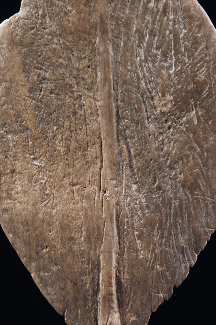 Pagaie, Fleuve Sépik, Art Océanien, Art tribal, Océanie, Sculpture, Objet de marine, Océanie, 162 cm