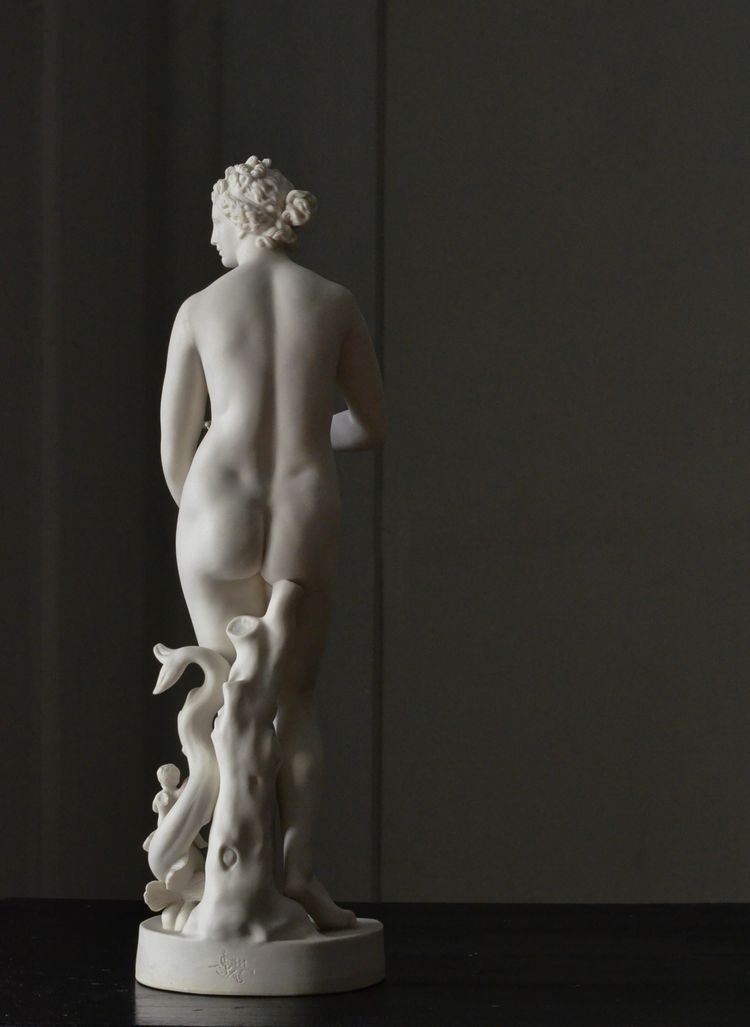 Venus modest