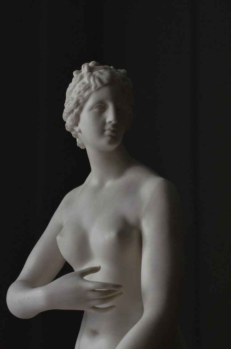 Venus modest