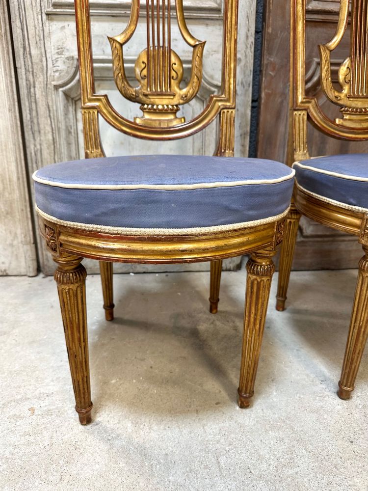 Pair of Louis XVI style chairs in gilded wood