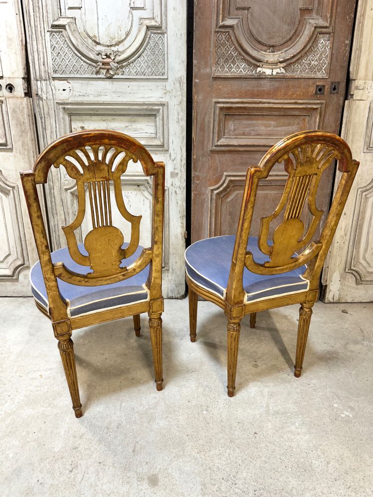 Pair of Louis XVI style chairs in gilded wood