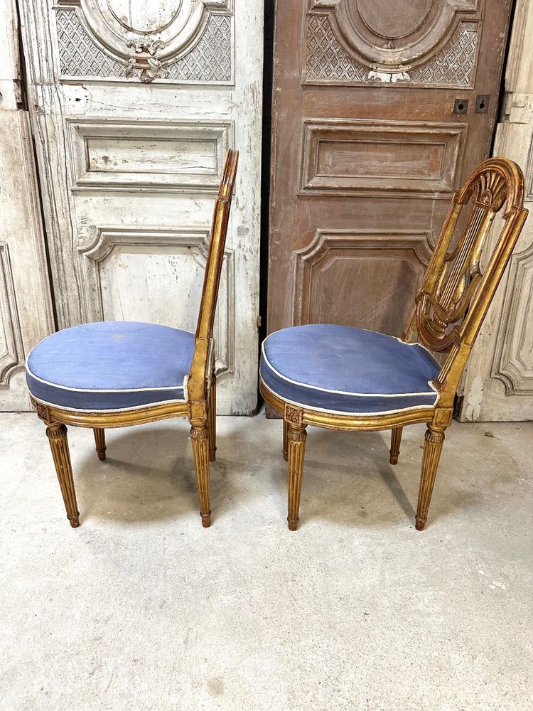 Pair of Louis XVI style chairs in gilded wood