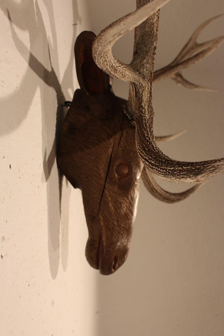  Tête de cerf en bois