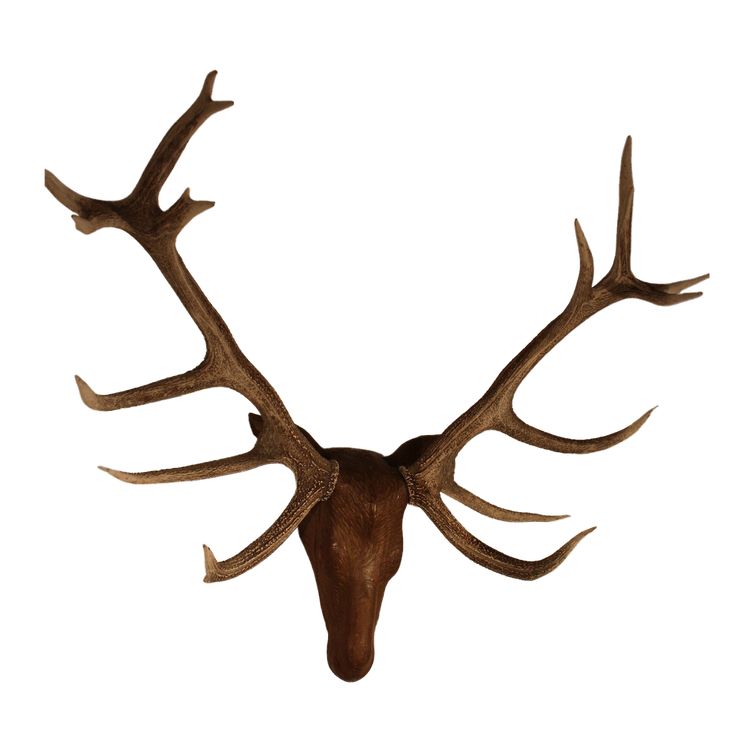  Tête de cerf en bois