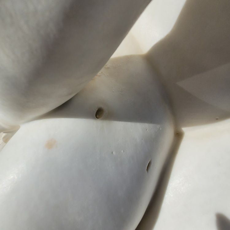 Grande bagnante su roccia, marmo bianco di grandi dimensioni (155 cm), fine XIX secolo