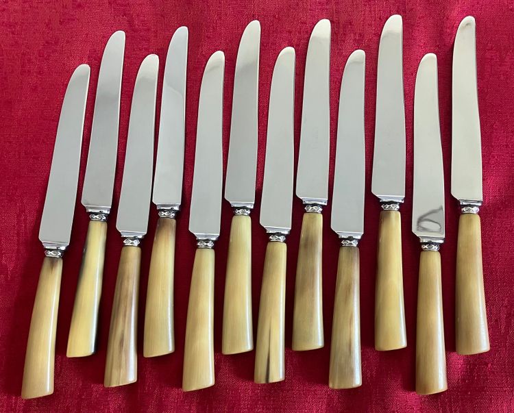 Bellissimo e raro set di coltelli in corno marrone del periodo Napoleone III