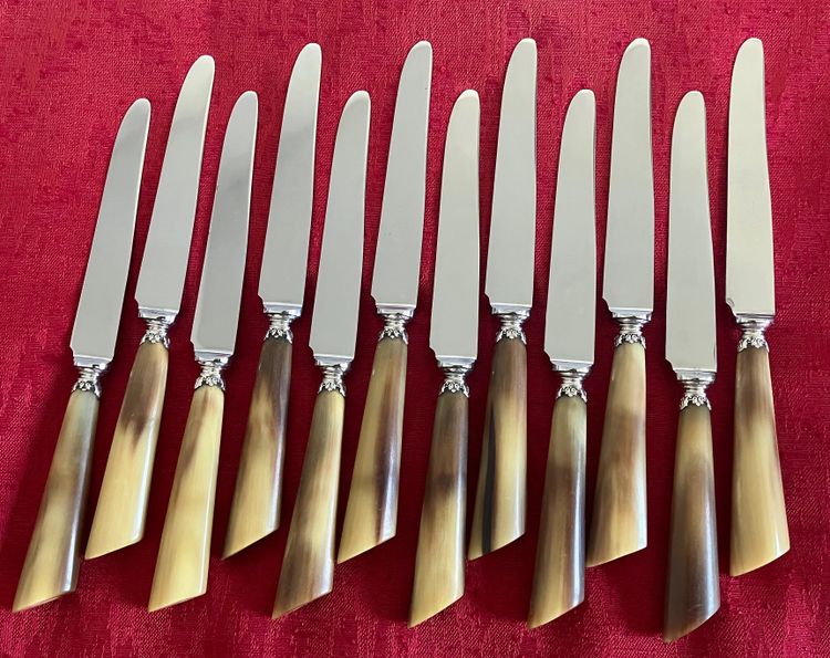 Bellissimo e raro set di coltelli in corno marrone del periodo Napoleone III