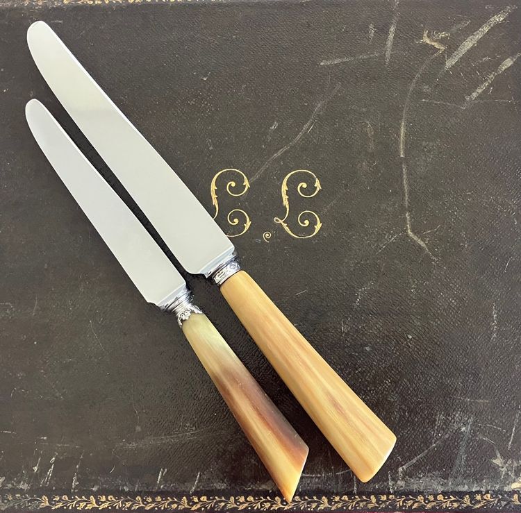 Bellissimo e raro set di coltelli in corno marrone del periodo Napoleone III