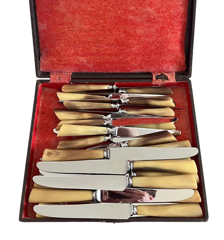 Bellissimo e raro set di coltelli in corno marrone del periodo Napoleone III