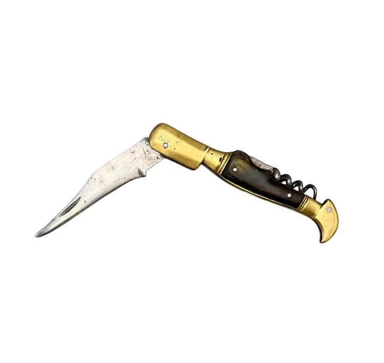 COLTELLO PIEGHEVOLE A DUE PEZZI - Italia - XIX secolo