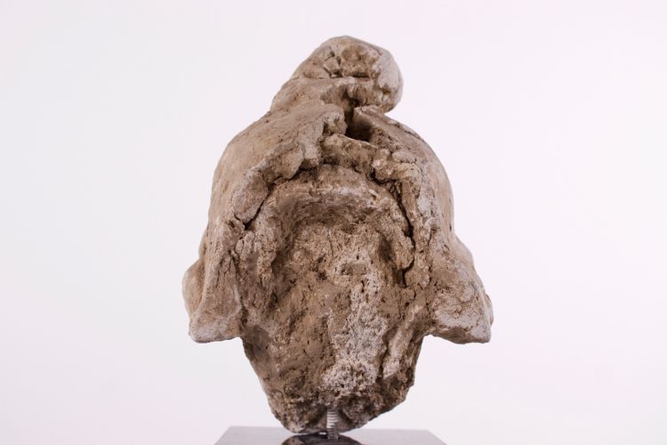 Tête de Bodhisattva en stuc du Gandhara