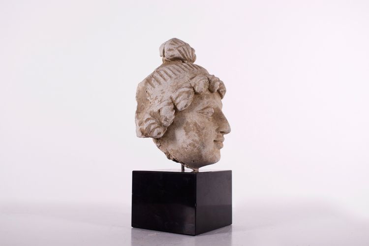 Tête de Bodhisattva en stuc du Gandhara