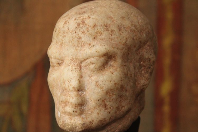 Testa maschile in marmo stile antico, XIX secolo