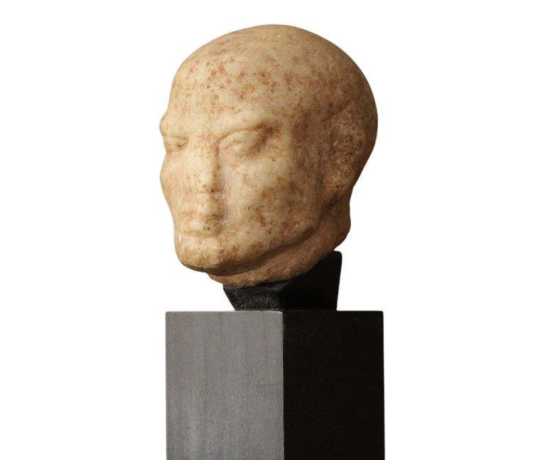 Testa maschile in marmo stile antico, XIX secolo