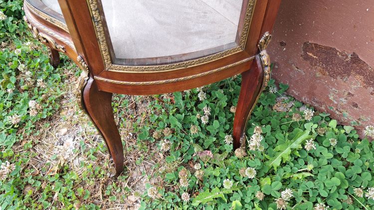 Louis XVI-style curved display case