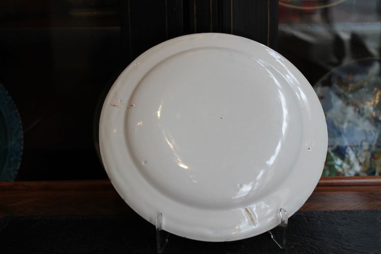 Cheetah hunting plate