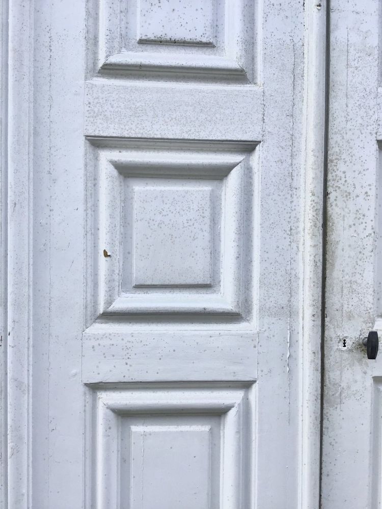 Paire De Portes D’intérieur En Chêne Peint, Fin 18ème.