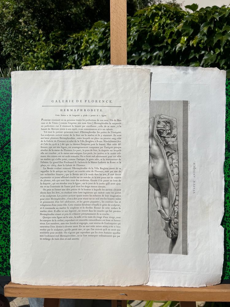  Vellum engraving, Ancient Hermaphrodite, Galleria di Firenze
