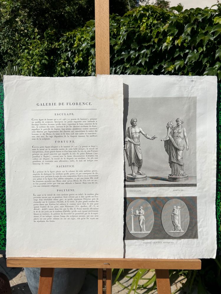 Vellum etching, Aesculapius, Fortune, Sacrifice and Polyxena, Antique statues